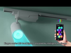 360 Ajustável Lâmpadas de pista LED móveis Moderno estilo asiático Corpo de alumínio para lojas de interior Bares de refeições