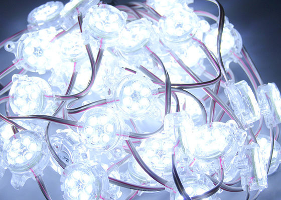 White RGB 30mm IP67 6 Chips LED Sign DC24V LED Pixel For Lighting Box