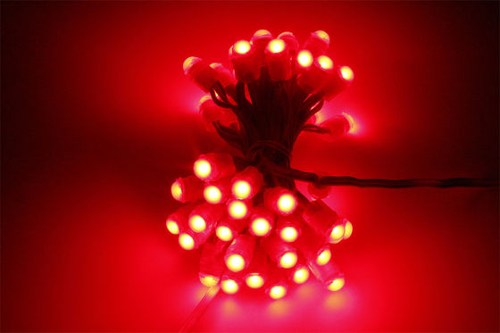 High Brightness DC12V Single Color Outdoor LED Pixel Light IP67 SMD2025