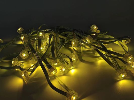 Christmas Outdoor Decoration Light 12 Volt RGB IC LED IP67 Waterproof Permanent Holiday Outdoor Eaves Light