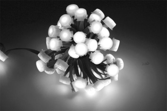 IP67 waterproof outdoor decoration SMD5050 20mm 6LM muticolor LED DMX512 RGBW point light