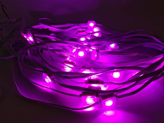 Waterproof Rgb Decorative Holiday Eaves Led Christmas Point Light For Eave Ip Rating IP67