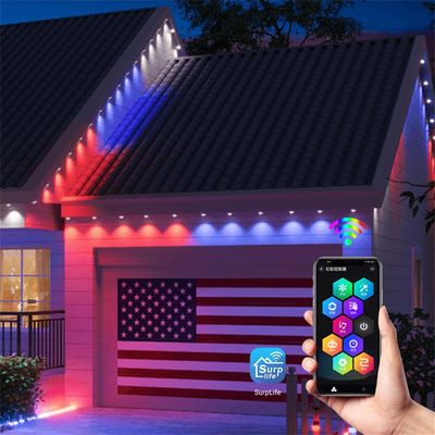 Good Quality Waterproof IP67 Christmas Light Outdoor Holiday Light Illumination Led Pixel Point Light
