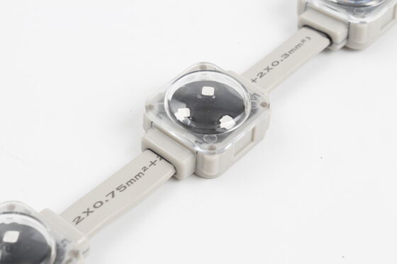 30mm 12V IP67 Waterproof LED Point Light with 120 Degree Beam Angle and RGBW Color Made of PC Material