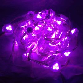 módulo do pixel do diodo emissor de luz da cor completa de 30mm DC12V RGB com controle DMX512