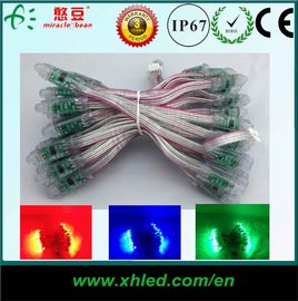 luz DC5V do pixel do diodo emissor de luz da cor completa de 12mm RGB com 3 anos de garantia