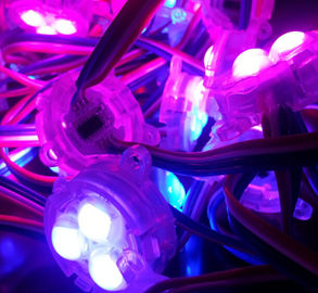 30mm SMD 5050 12V rgb conduziu o pixel com cor completa-----11 anos que fabricam a experiência