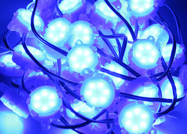 O ponto azul impermeável de Epistar SMD 5050 RGB 30mm conduziu exterior claro