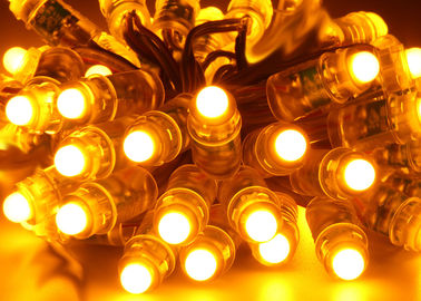 A luz DC5V do pixel do diodo emissor de luz do RGB da cor completa de Epistar 03W 12mm Waterproof 2 anos de garantia