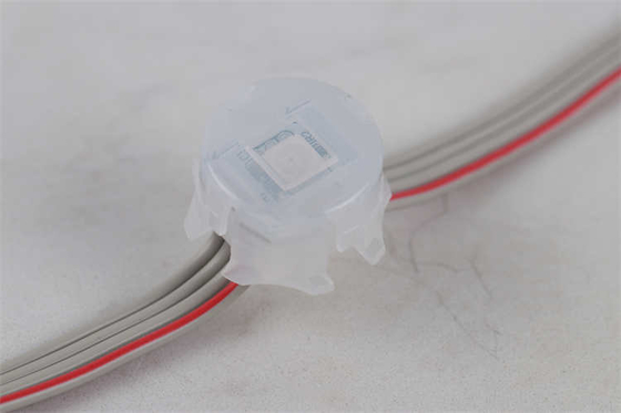 Luz permanente 5050 Rgb Rgbw 1903 do feriado de 20MM luz conduzida IC do ponto do pixel 2904 Dmx512