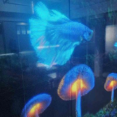P6.25 Ecrã de filme transparente LED flexível, adesivo macio e super fino