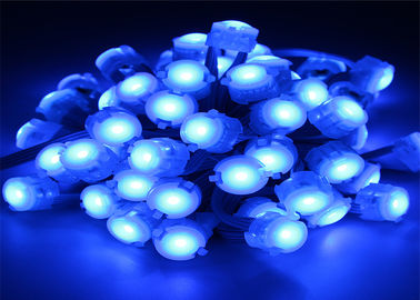 Luz azul do pixel do diodo emissor de luz de IP67 0.25W DC12V 5050 20mm com ângulo de feixe 120