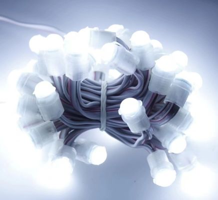 luz LED branca à prova d'água exterior 50 LEDs DC 12V 9mm LED Pixel String Light