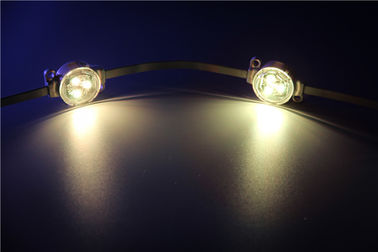 Luz impermeável do ponto do diodo emissor de luz de IP67 5050 SMD RGB 3pcs 30000 horas de tempo
