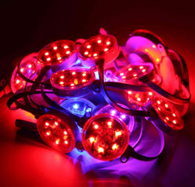 40mm exteriores 50mm SMD3535 DMX Digitas RGB conduziu o pixel IP67 impermeável