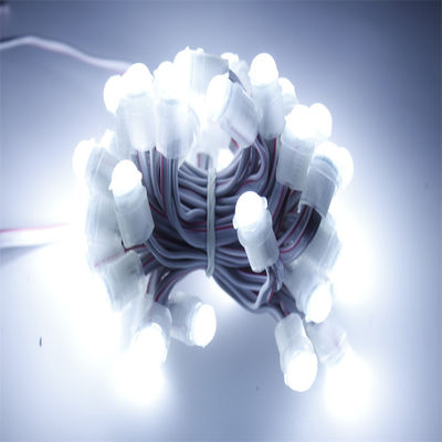 Epistar DC 5V Ip67 0,3W Lâmpada LED endereçável