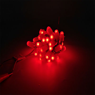Miracle Bean LED Decorações de Natal Luz de Ponto de LED Luz de Cor Única Luz de Pixel Programável