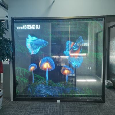 P10 DC5V RGB LED Transparent Film Screen para publicidade de lojas de varejo Instalação fácil com placa de PCB