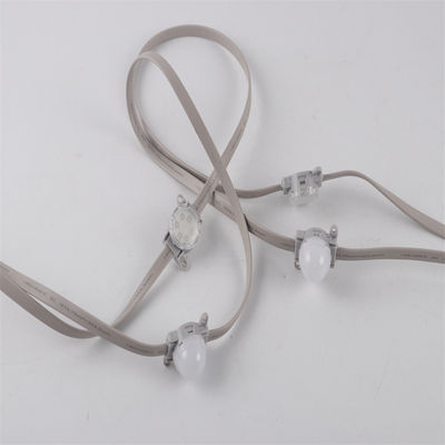 Grátis 24V SMD3535 IP67 Single And RGB Color Changing Programmable LED Pixel Chain Light com Controlador