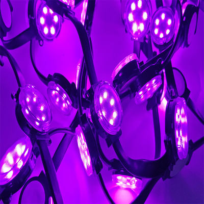 Gráfico 24v 4cm Diâmetro LED Pixel Lights PC Materiais LED Natal Festa RGBW à prova d'água 1.5W