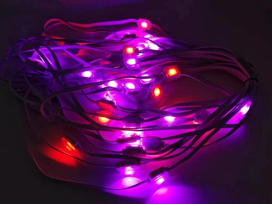 Holiday Decoration Lights Rgbw 24v christmas Light Outdoor Led Pixel String Light