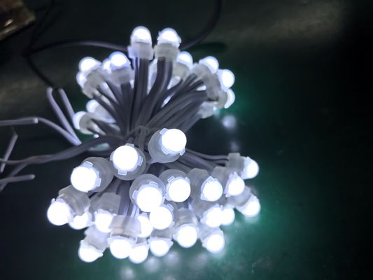 Lâmpadas pontuais de PVC de 9 cm Fonte LED colorida e controlo SPI para aplicações de paisagem