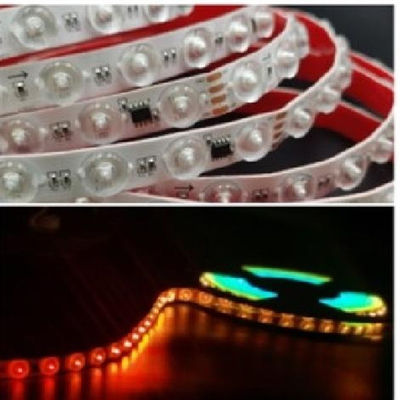 24V Voltagem de Entrada Luz LED com alto brilho e personalizável Branco Verde Vermelho