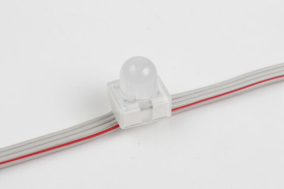 Luz de Ponto LED RGB SMD5050 de 12mm IP67 DC5V com Âncora de Furo Passante e Ângulo de Feixe de 160°