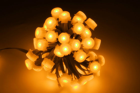 Pixel impermeável completo do diodo emissor de luz da cor 0.3W 5V IP65 20MM