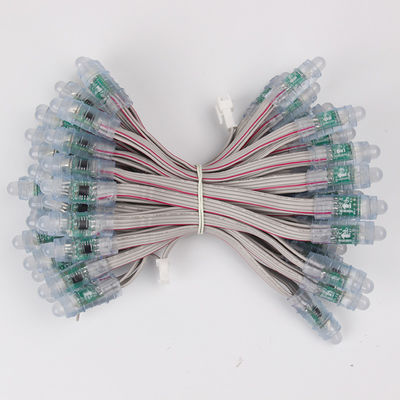 Impermeáveis conduzidos do RGB da luz do pixel do certificado WS2811 1903 do BIS do feijão 12mm Rgb do milagre conduzidos amarram 5V 12 V 50pcs