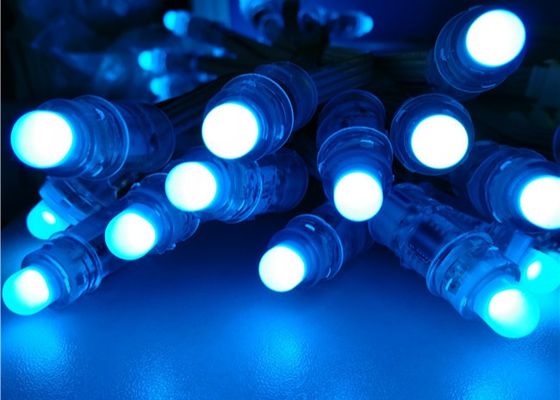 Luz 1903 endereçável do pixel do diodo emissor de luz do RGB F8 12mm 5V 12V da cor completa do Natal WS2811 do feijão 12mm Rgb do milagre da fábrica