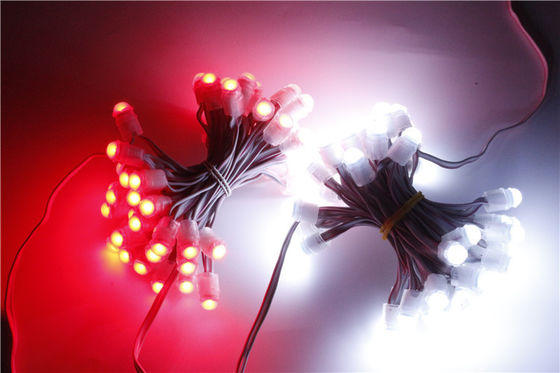 O diodo emissor de luz impermeável do pixel de SMD2025 12V IP67 ilumina 0.15W 9mm