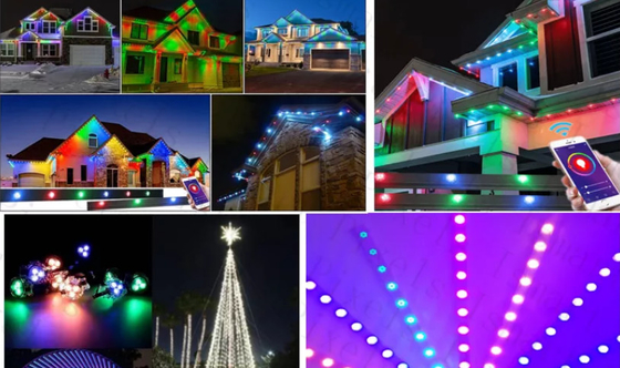 2904 RGBW conduziram a corda 1903 impermeável exterior clara da luz do diodo emissor de luz do ponto IP67 RGB
